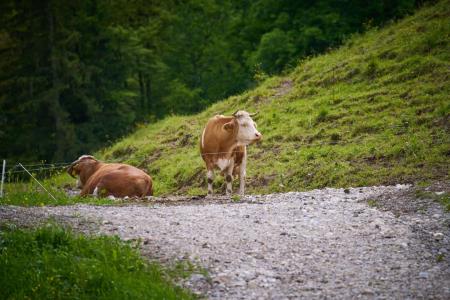 Jahrestagung_Bergsteigerdörfer_Samstag_1-6-24 (183)